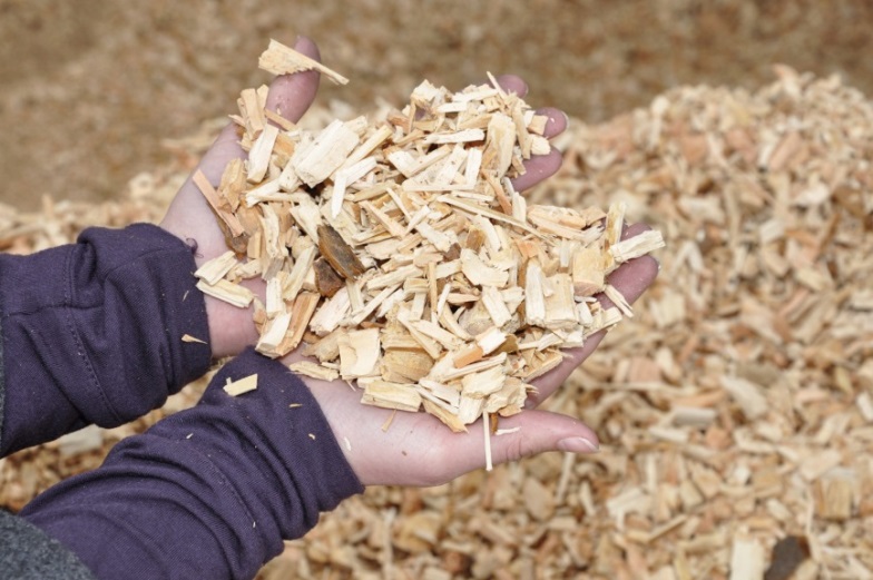 [FABRIQUE ENERGETIQUE] Atelier énergies renouvelables n° 5 : le bois énergie